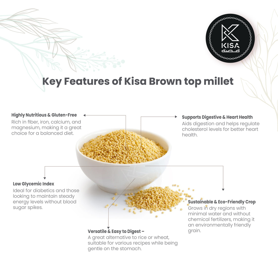 BROWNTOP MILLET / BRACHIARIA RAMOSA