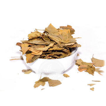 GINGKO BILOBA LEAF