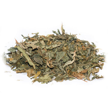 GURMAR BOTTI - GYMNEMA LEAVES
