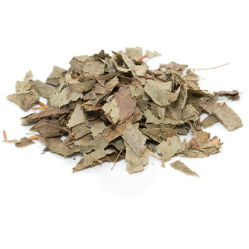 HORNY GOAT WEED / BARREN WORT LEAVES