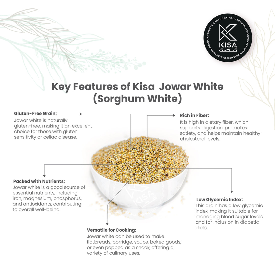 SORGHUM WHITE / JOWAR
