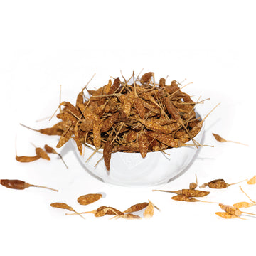 عين الطائر (كونداتام)