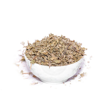 SALTBUSH - MARWAKASH