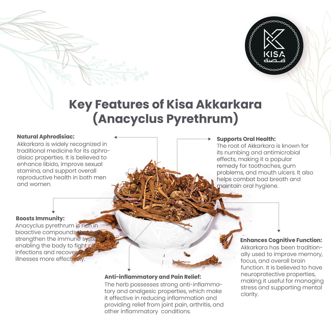 AKKARKARA ROOTS / PELLITORY ROOT