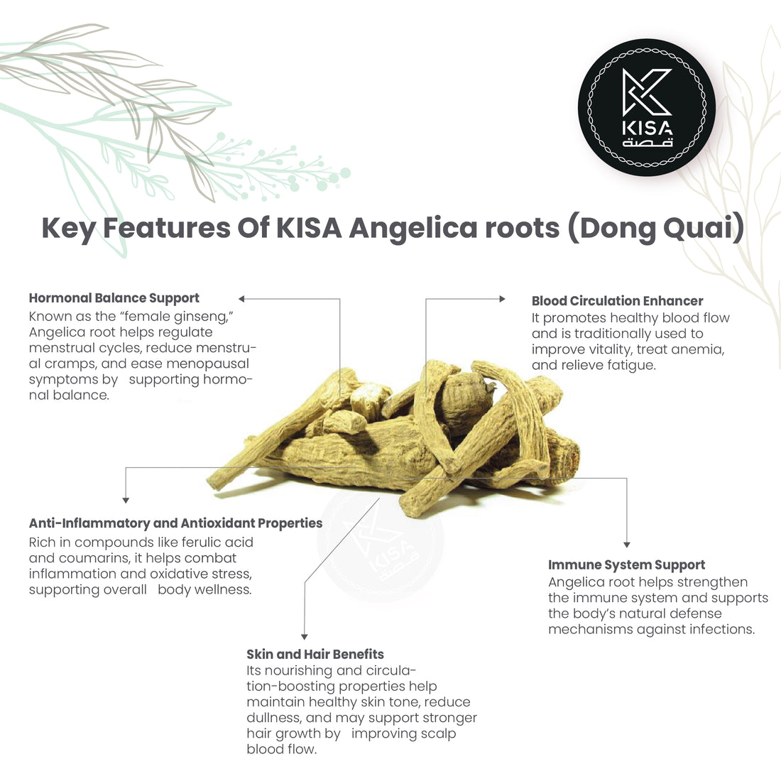 ANGELICA ROOTS / DONG QUAI