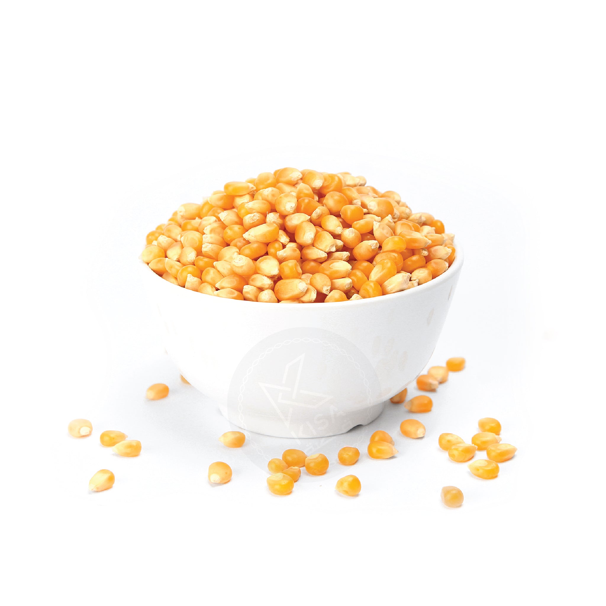 POPCORN LARGE