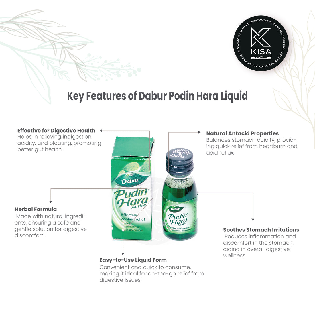 DABUR PUDIN HARA LIQUID / MENTHOL LIQUID
