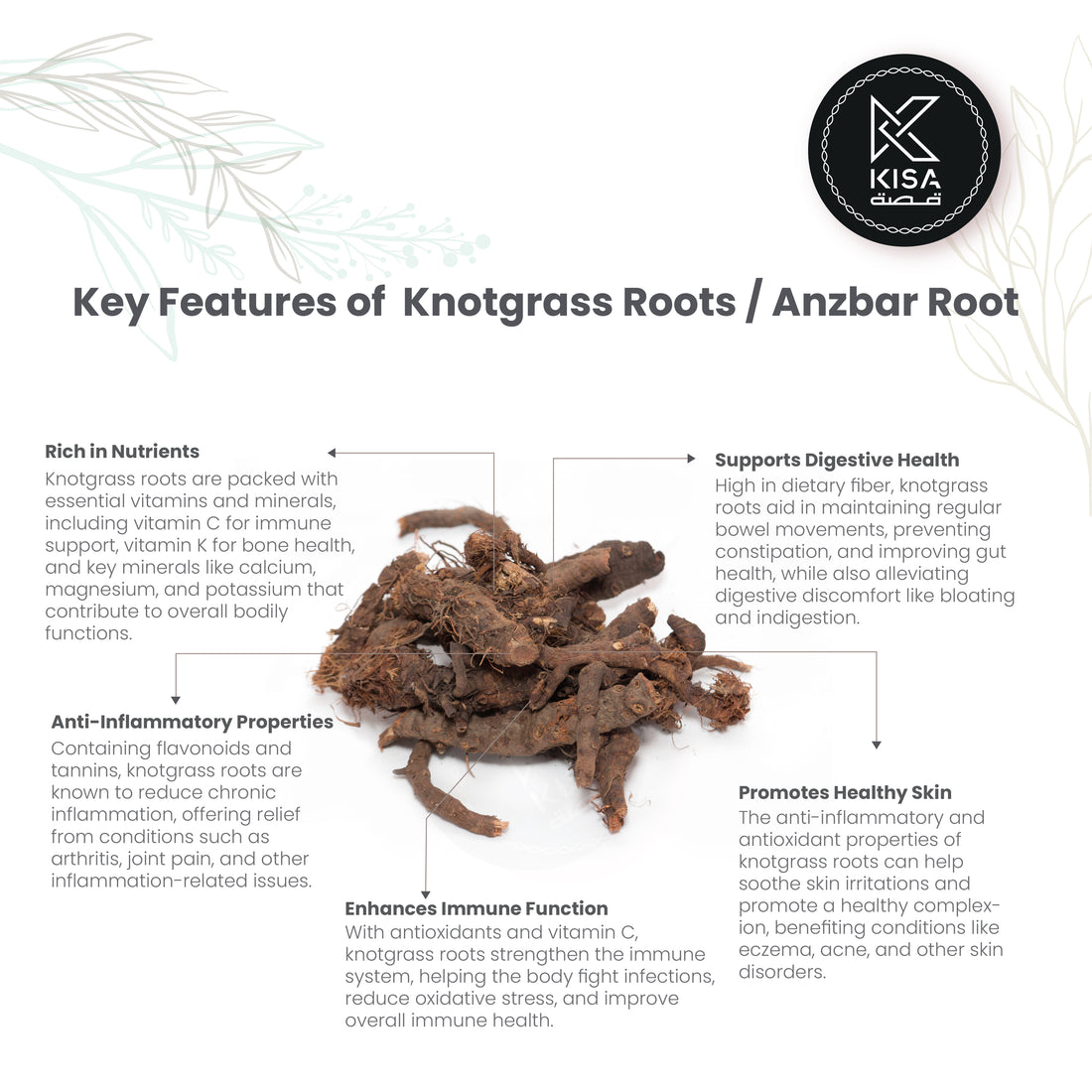 ANJBAR ROOTS - ANZBAR