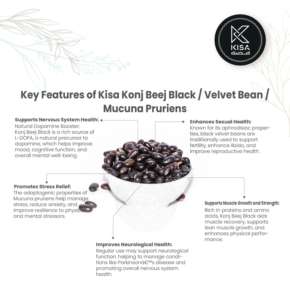 KONJ BEEJ BLACK / VELVET BEAN BLACK /MUCUNA PRURIENS