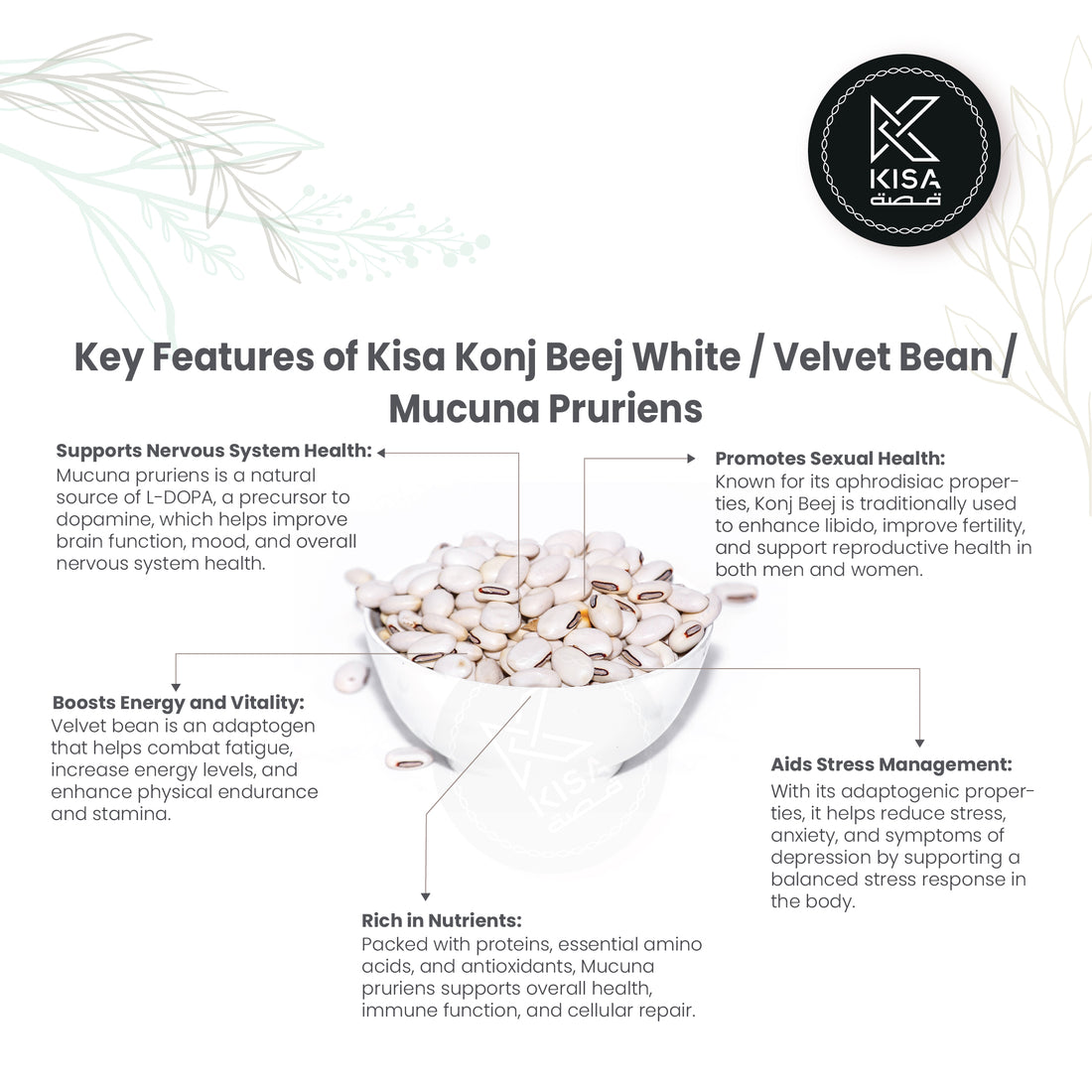 KONJ BEEJ WHITE / VELVET BEAN / MUCUNA PRURIENS