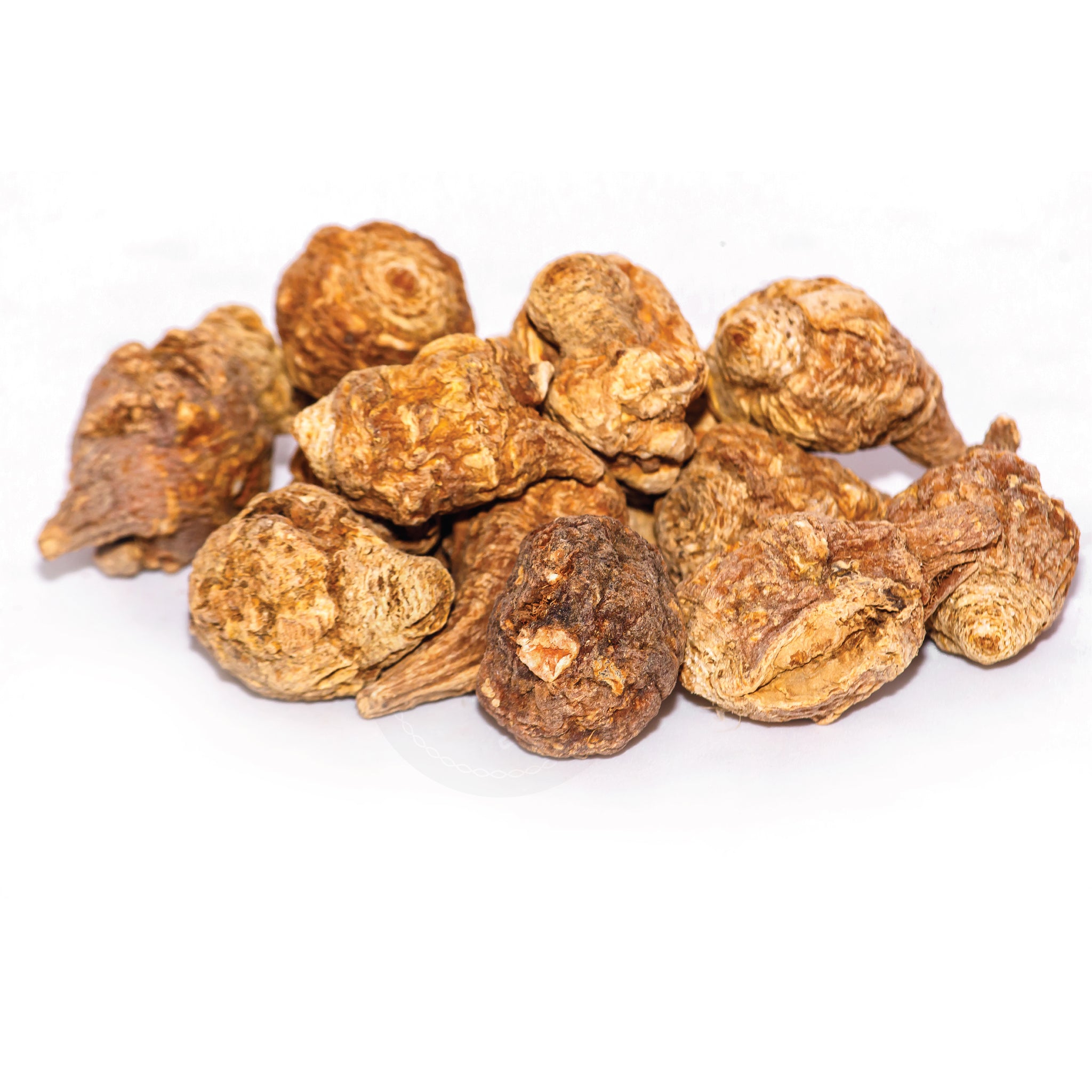 MACA ROOT WHOLE / LIPIDIUM MEYENII