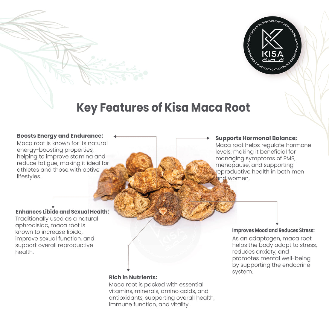 MACA ROOT WHOLE / LIPIDIUM MEYENII