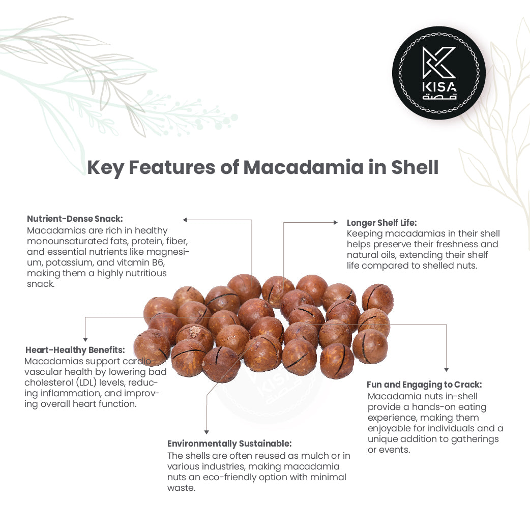 MACADAMIA WITH SHELL ROASTED