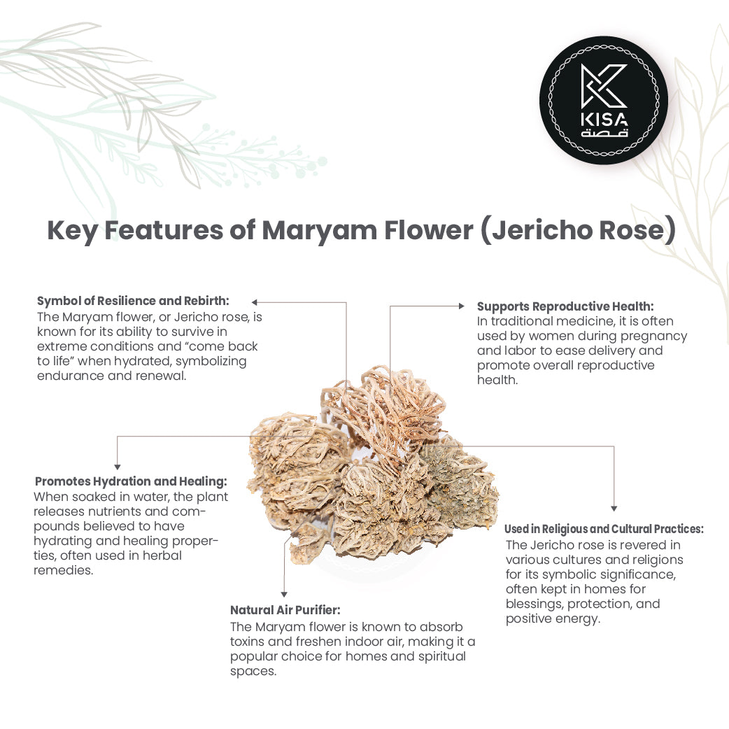 MARYAM FLOWER - KAF MARYAM / JERICHO ROSE