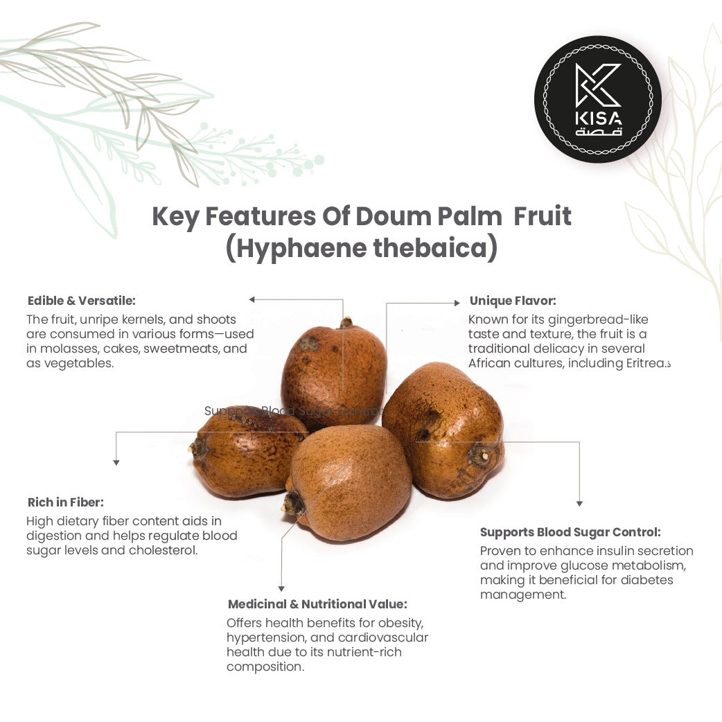 DOUM PALM FRUIT / AKAT / GINGERBREAD PALM FRUIT /HYPHAENE THEBAICA