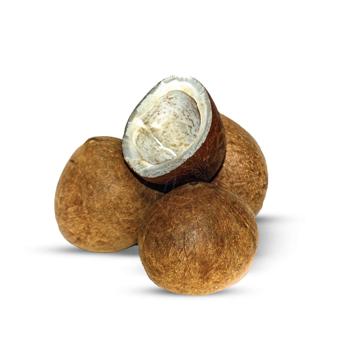 DRY COCONUT BALL