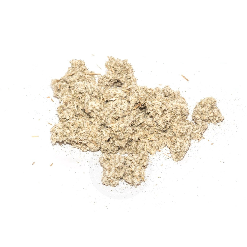 MASAUFA FLOWER / SALVIA MIRZAYANII / MOOR- E- TALKH / IRANIAN SAGE
