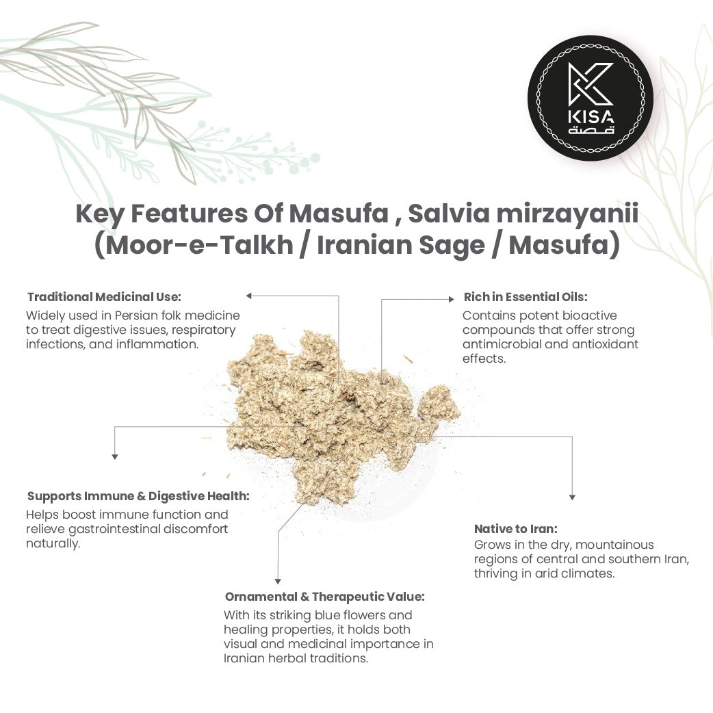 MASAUFA FLOWER / SALVIA MIRZAYANII / MOOR- E- TALKH / IRANIAN SAGE